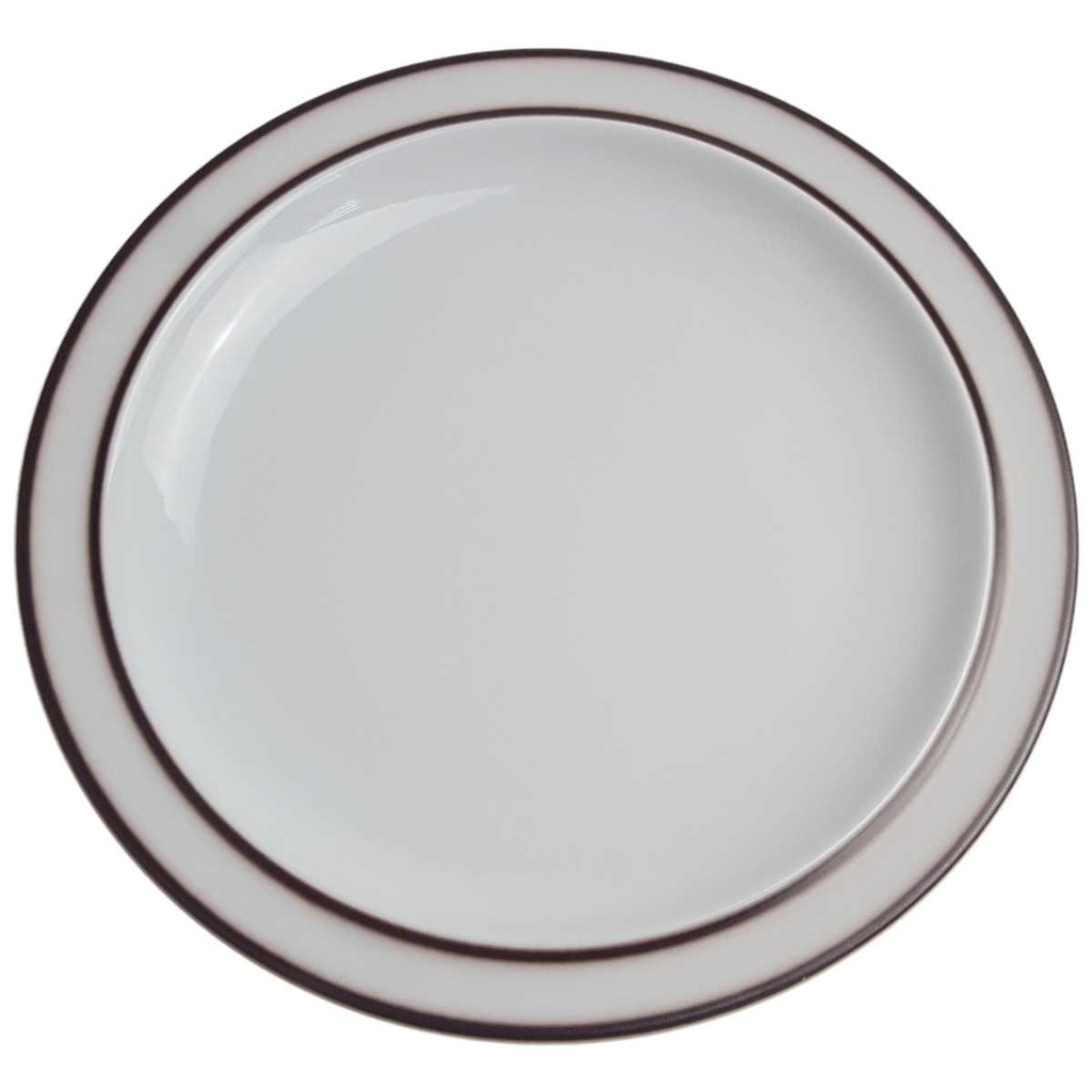 [458169149-1] Speiseteller 25 cm Thomas Porzellan Scandic Shadow braun (gebraucht - gut)